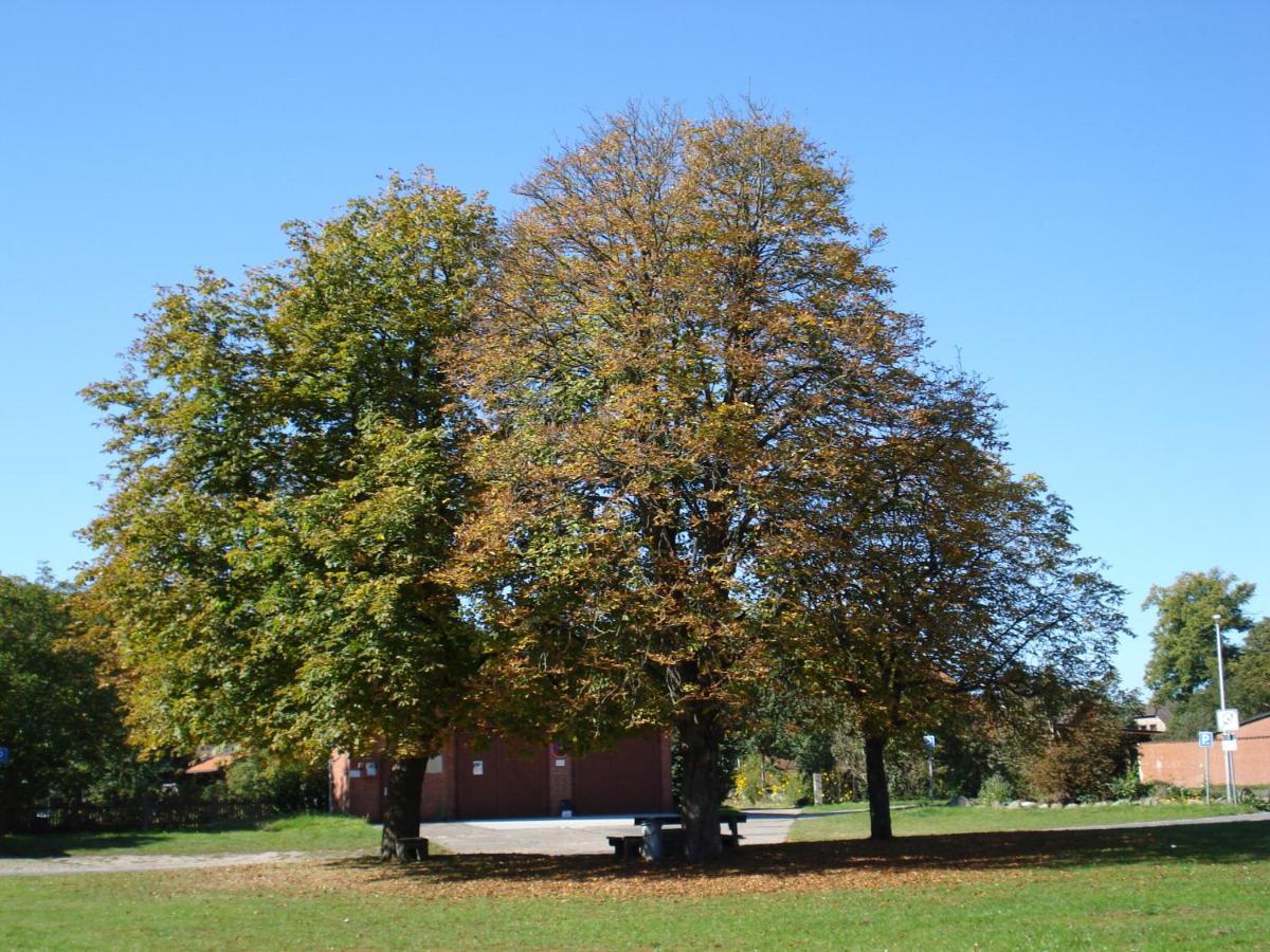 De Luet Ferienhof Jameln Экстерьер фото