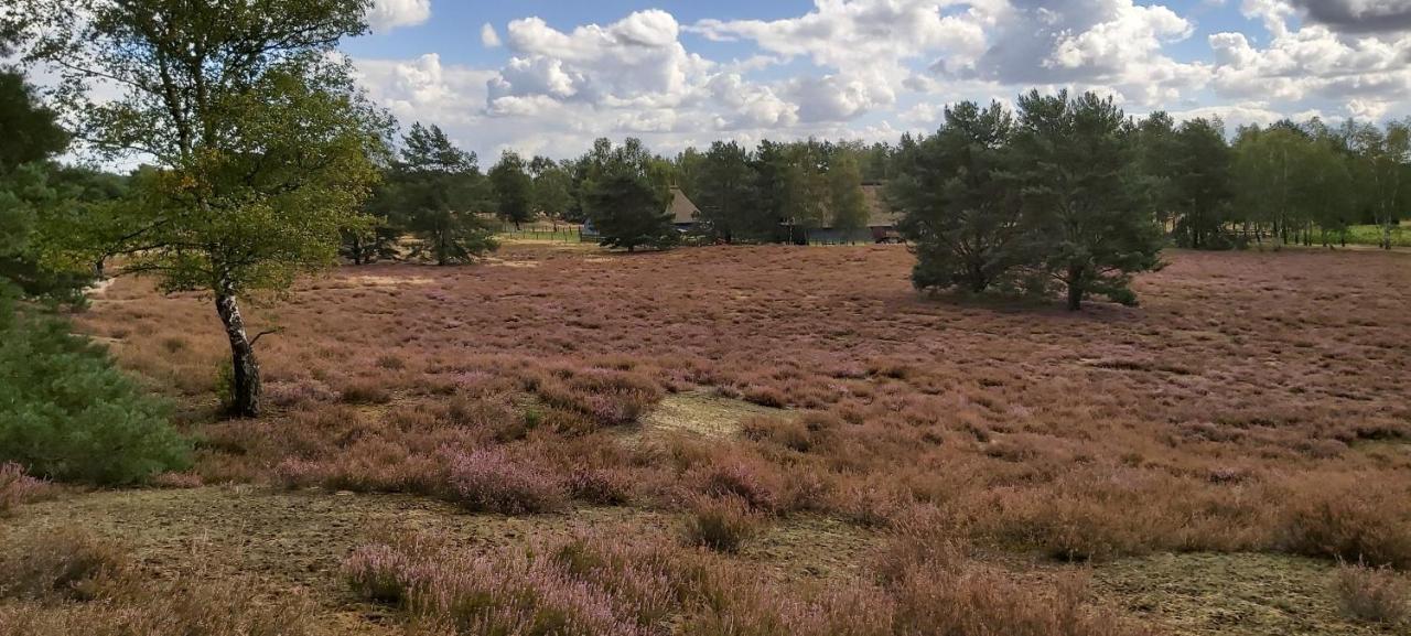 De Luet Ferienhof Jameln Экстерьер фото